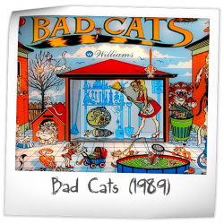 Bad Cats Pinball Rubber Ring Kit