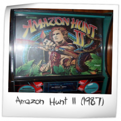 Amazon Hunt II Pinball Rubber Ring Kit