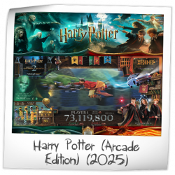 Harry Potter - Arcade Edition Pinball Rubber Ring Kit