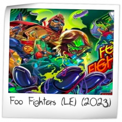 Foo Fighters (Limited Edition)