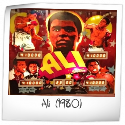 Ali Pinball Rubber Ring Kit