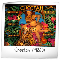 Cheetah Pinball Rubber Ring Kit