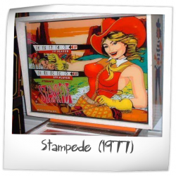 Stampede Pinball Rubber Ring Kit