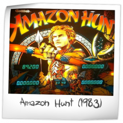 Amazon Hunt Pinball Rubber Ring Kit